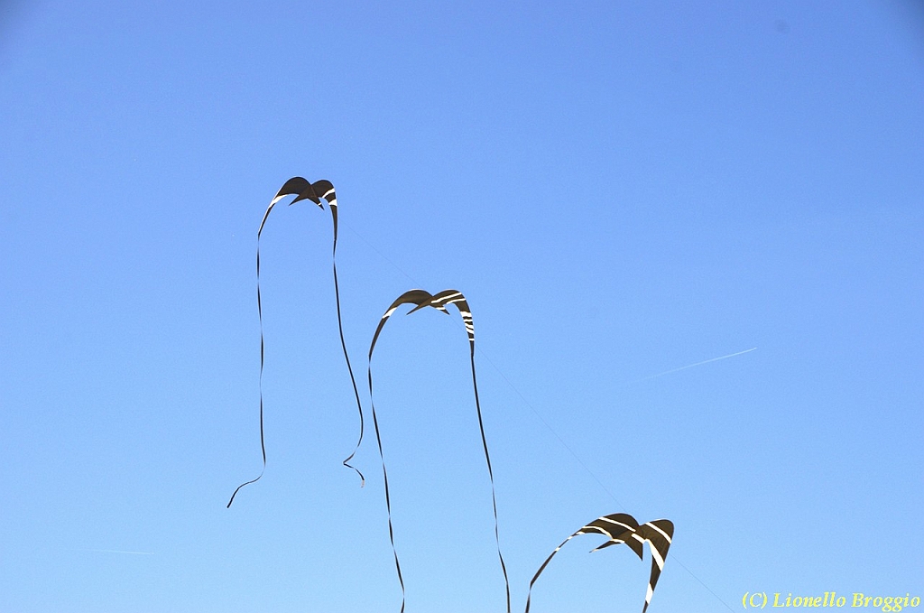 32 FESTIVAL CERVIA 2012 - 027.jpg
